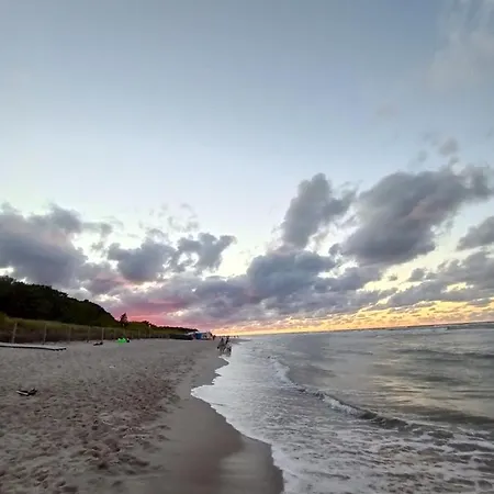 Przyczepa Niewiadow Surf Wioska